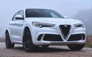 Alfa Romeo Stelvio Quadrifoglio 2018 года (NA)